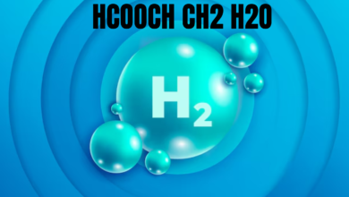 HCOOCH CH2 H2O