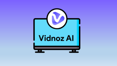 Vidnoz